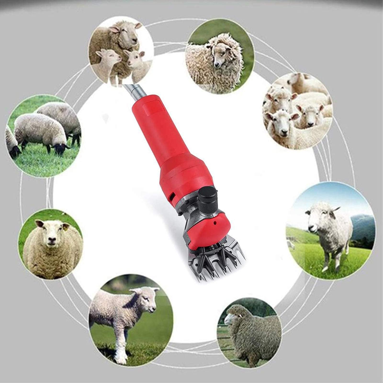 Esquiladora eléctrica de ovejas y cabras, cortadora ultraligera de 750W y tijeras de lana for uso agrícola, diseño portátil con caja de almacenamiento
