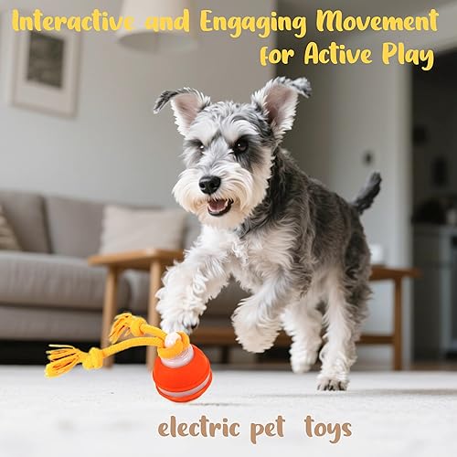 Miniatura 9 de Power Tail 2.0 - Juguete interactivo para perros con movimiento activado, juguete chirriante, bola de salto inteligente para gato, para pequeños y