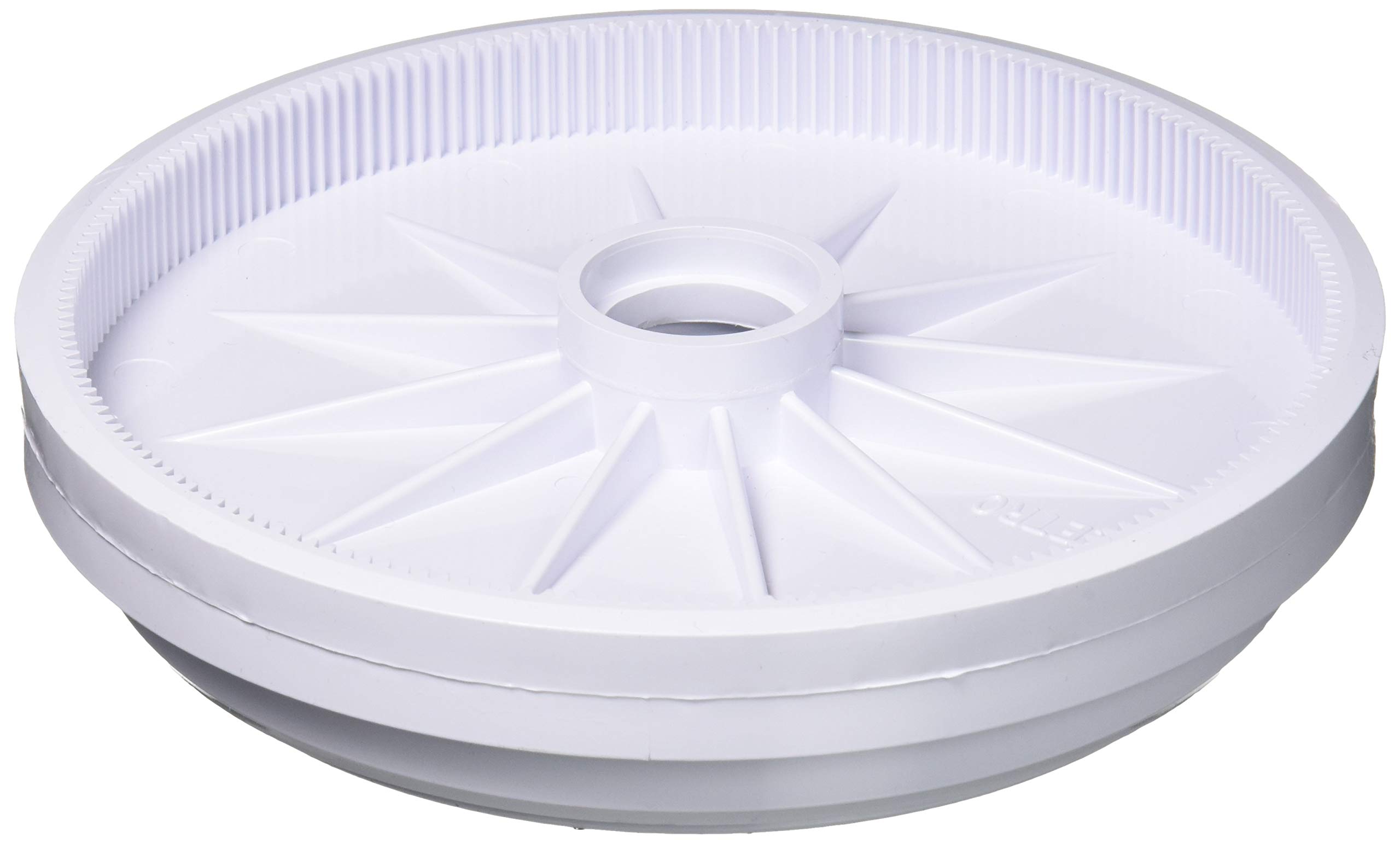 Amazon.com: Pentair LLC6PM White Wheel without Bearings