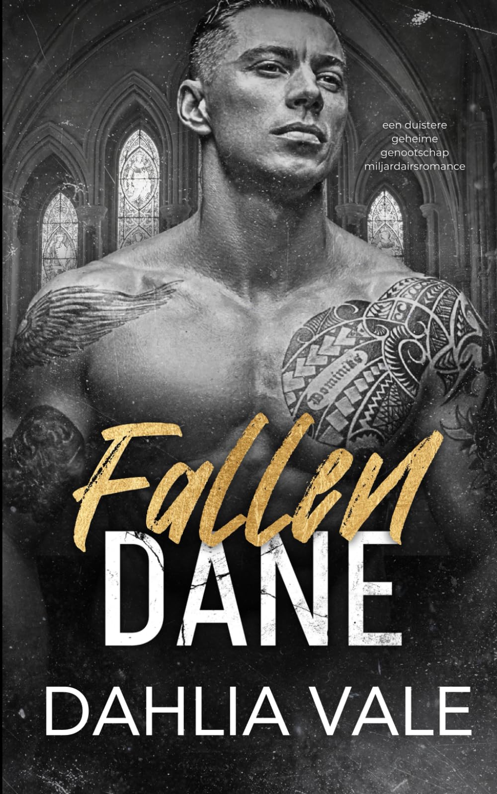 Fallen Dane: Een duistere geheime society-romance: 1 (De duistere miljardairs)