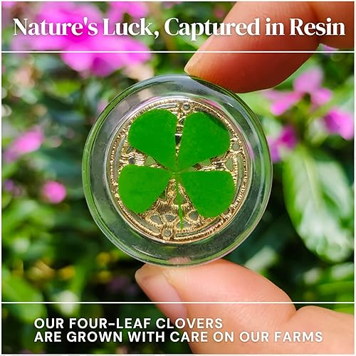 Miniatura 3 de 1 Pair Real Four Leaf Clover with Metals Magic Ornaments - Lucky Charms Lucky Coin, Moon Sun Star Good Luck Gift for Friends Family