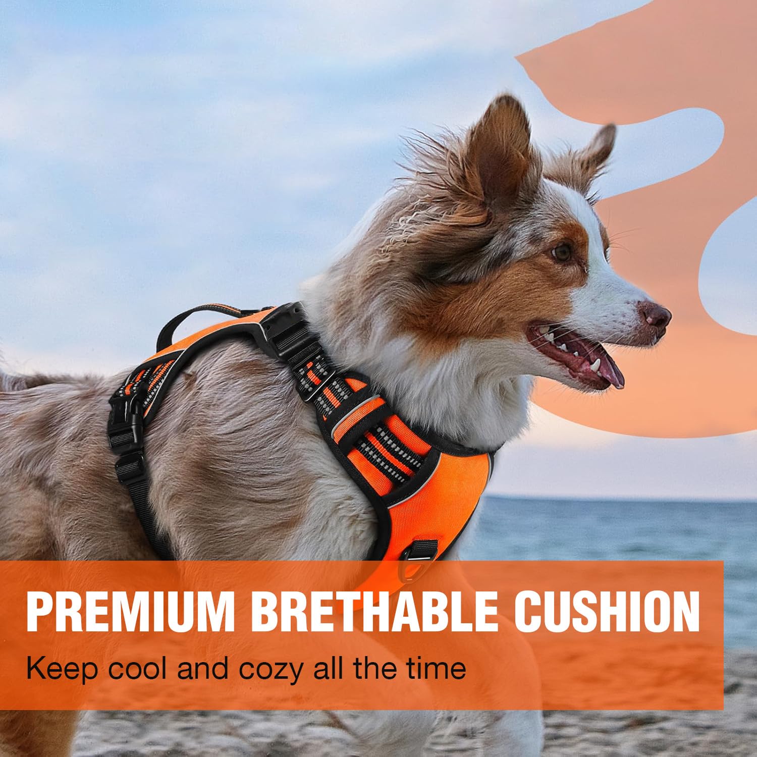 Lyrovo Arnés ajustable sin tirones con correa para perros pequeños, medianos y grandes, reflectante, transpirable, cómodo arnés de chaleco para entrenamiento y pasear (naranja, talla S (4-13 kg)