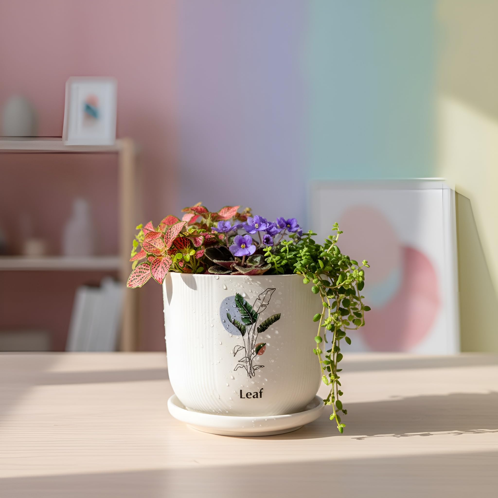 Xtore® Signature Ceramic Planter with Drainage Tray | Botanical Quote Print Flower Pot for Home, Study Table, Office Desk & Living Room Décor – (White, 1 Piece, Planter ONLY)