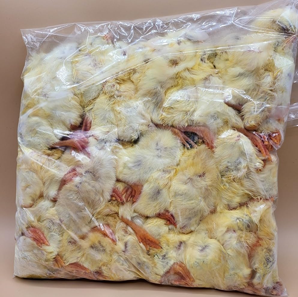 安い 冷凍ひよこ（40羽）【送料込】 リピート購入で＋10羽】 送料無料