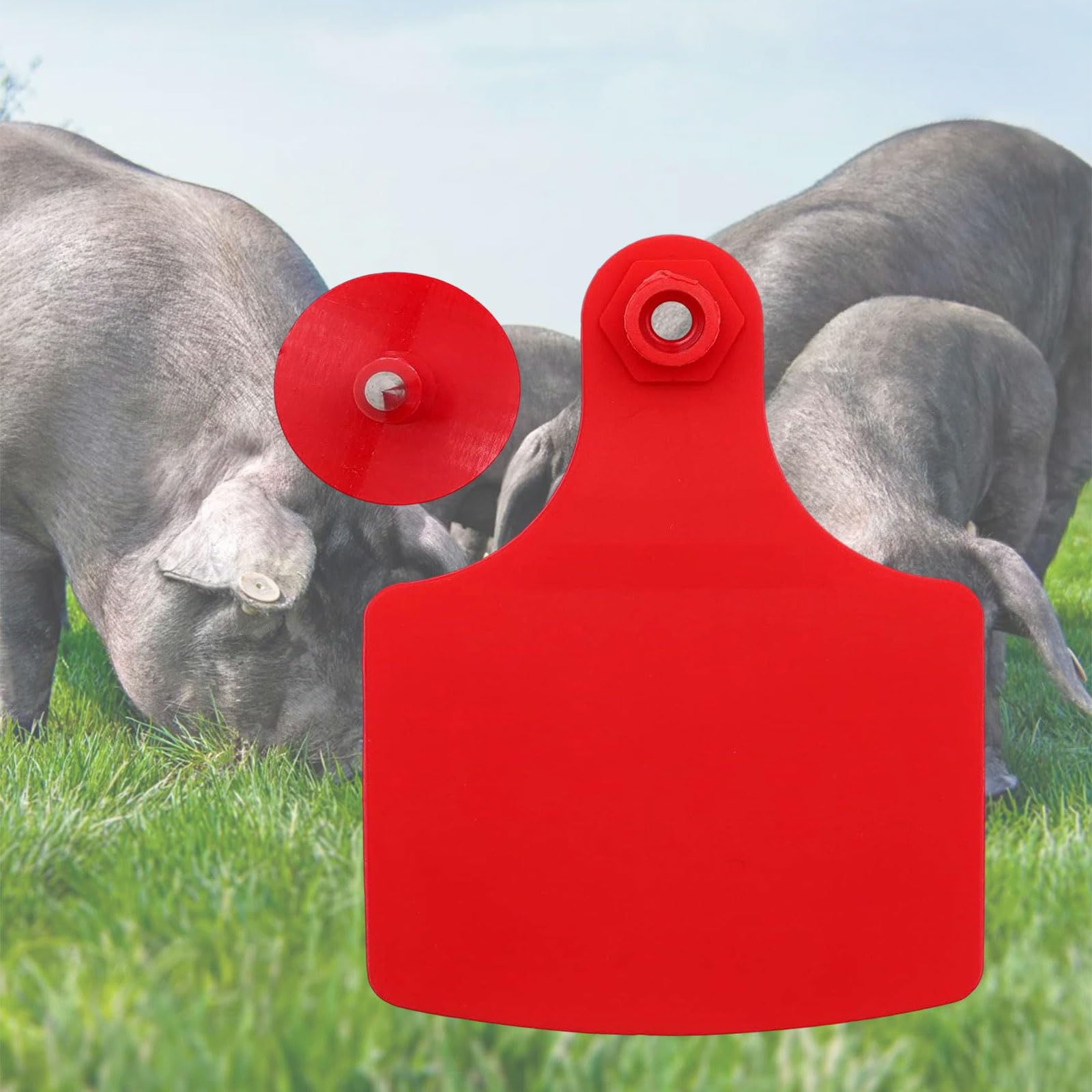 Etichette per bestiame resistenti da 100 per ovini, suini equini, costruite con pennarelli per orecchie capra