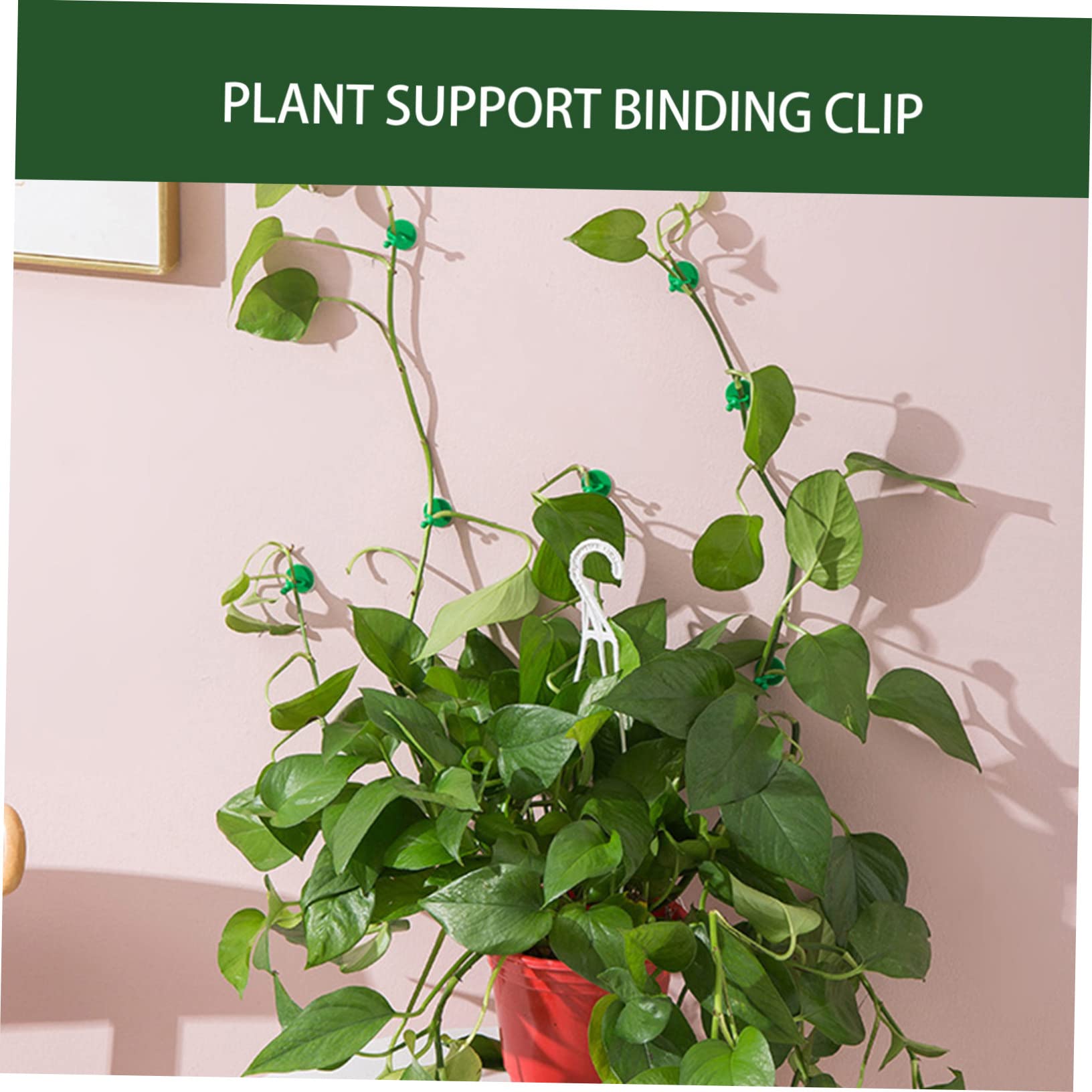 Sosoport 5 Sätze Kletterclip Für Pflanzen Hängender Pflanzer Hängende Künstliche Pflanzen Steht Tomatenpflanzenklammern Klebriger Rebenstützhaken Wand Gartenclips Green Abs 50 Stück * 5