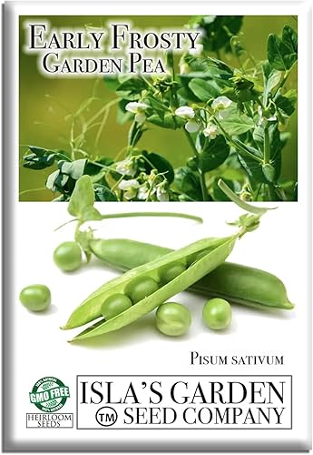 Semillas de guisantes de jardín "Early Frosty" para plantar, más de 50 semillas tradicionales por paquete, semillas de jardín de Isla (semillas de