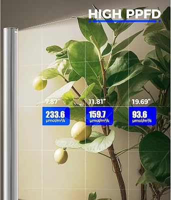 Barrina T1S Vertical Grow Light, 65W Full Spectrum, 5FT-5.6FT Height | Mechanical Timer, High PPFD Grow Lights for Indoor Plants, Standing Side Lighting to Stand, Tall Plants, Foot Switch, Silver