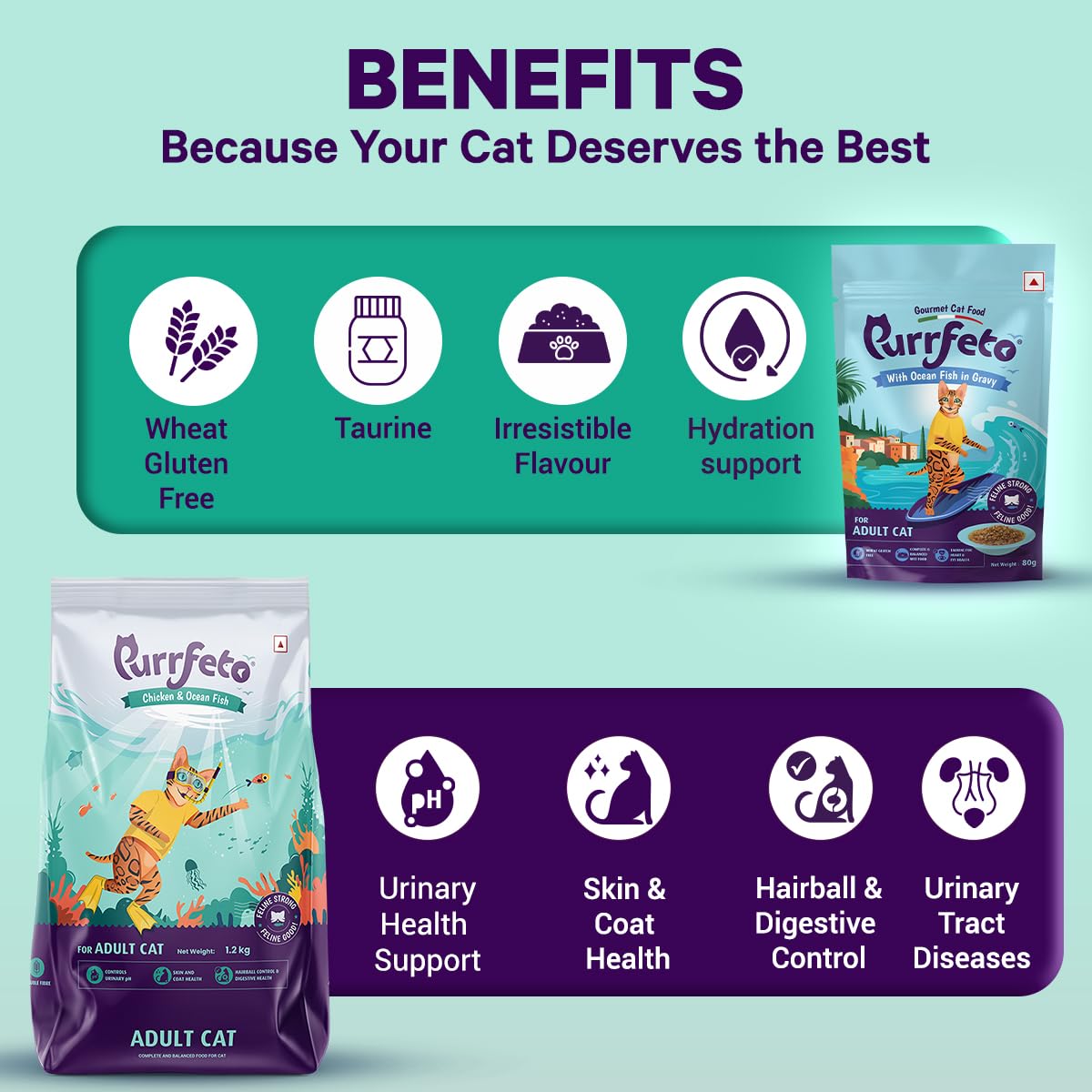 Purrfeto Adult Dry Cat Food, Chicken & Ocean Fish, 1.2 kg & Purrfeto Wet Cat Food with Ocean Fish in Gravy, Pack of 12 2