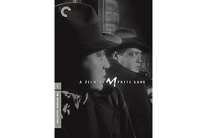 M&P Shield Holster with Laser