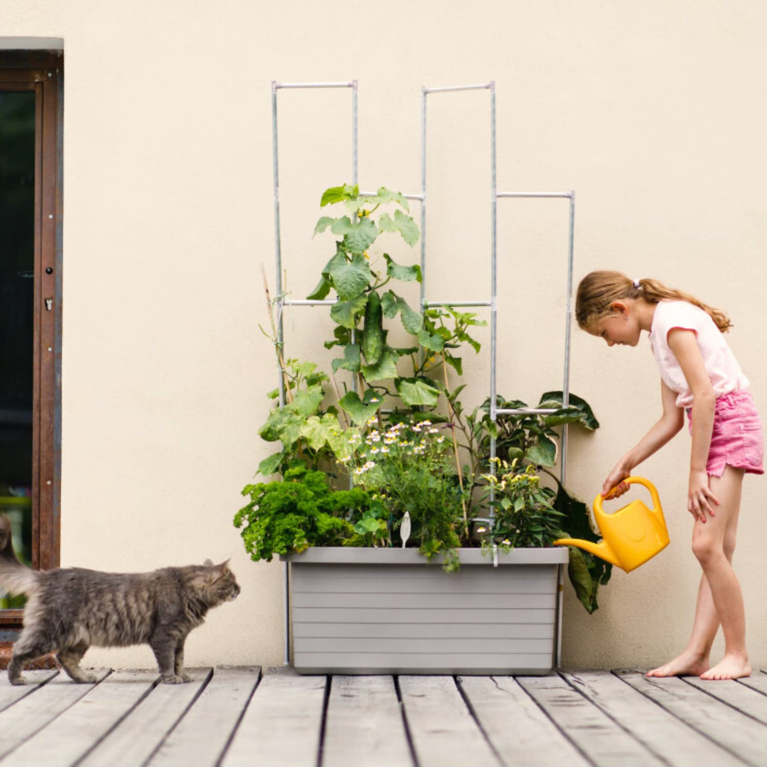 Watering Can Eva 2 Litres - Small Watering Can for Indoor and Outdoor Plants - Plastic House Plant Water Can, Yellow - Image 2