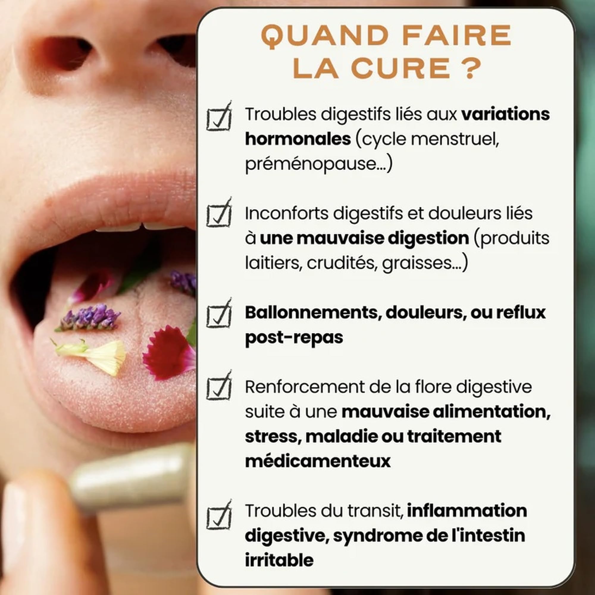 Circles DIGEST Probiotique Femme Bacillus Coagulans Lactospore Enzymes Digestives DigeZyme Flore Intestinale 60 Gélules Vegan