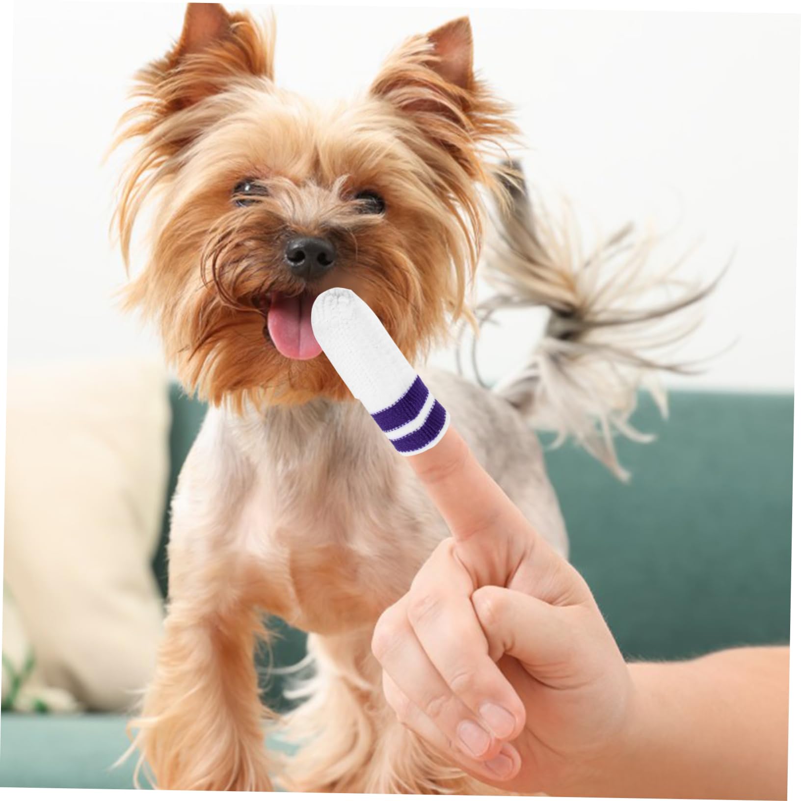 Kisangel 30stücke Nylon Zahnpflege Fingerwipes Für Hunde Sanfte Zahnreinigung Für Katzen Und Hunde Aller Fördert Frischen Atem Und Gesunde Zähne