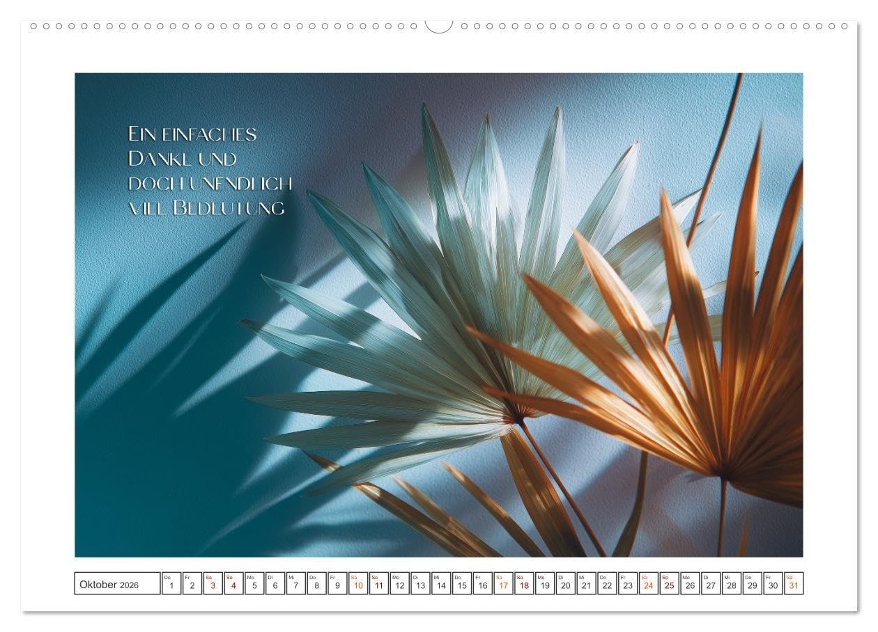 Zeit für Dankbarkeit - Pflege mit Herz (hochwertiger Premium Wandkalender 2026 DIN A2 quer), Kunstdruck in Hochglanz: Ein Kalender voller Wärme, Mitgefühl und Wertschätzung. (CALVENDO Menschen)