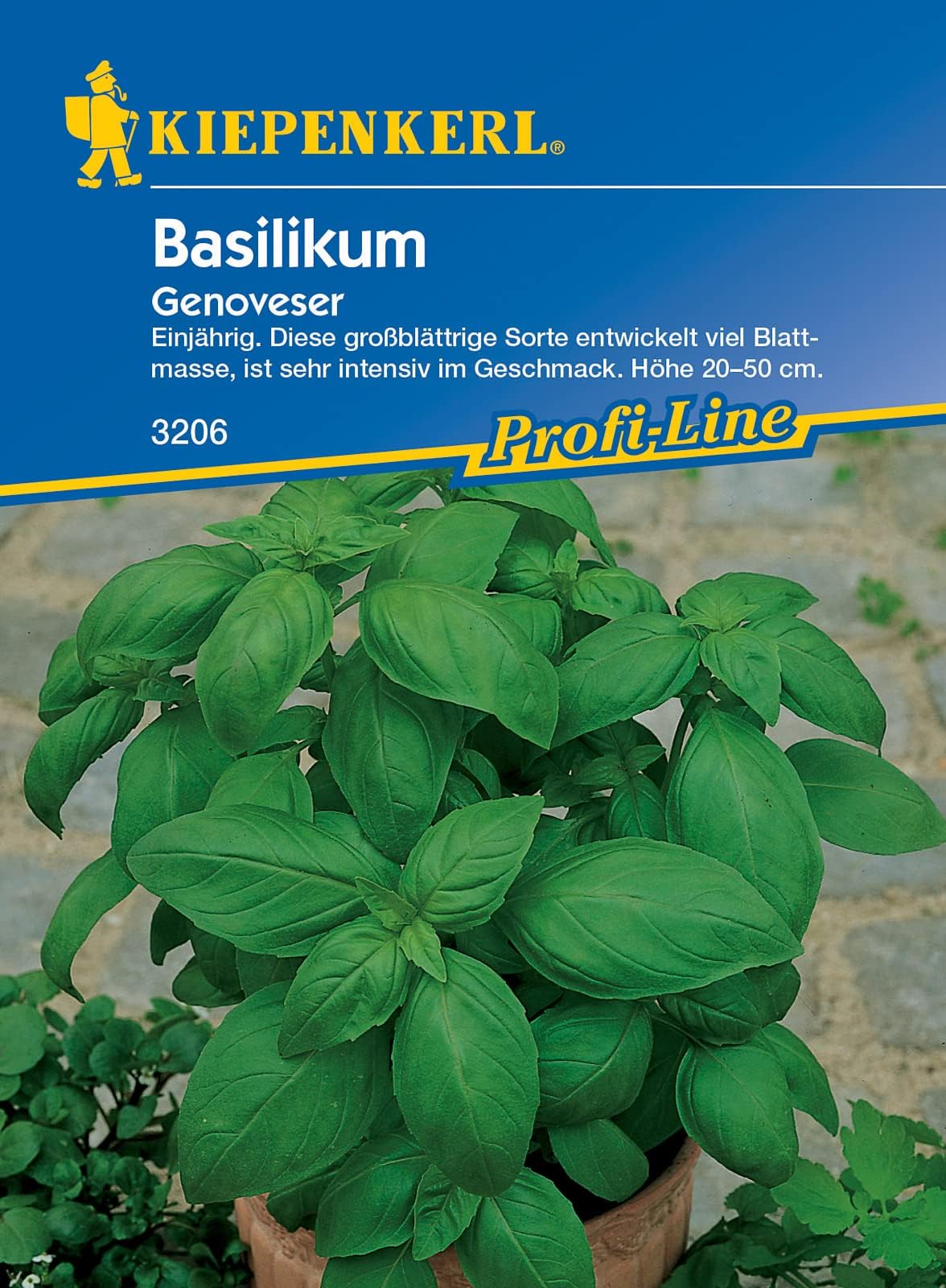 Kiepenkerl Zuckermelone 'Stellio F1' kaufen | Ahrens Sieberz - Pflanzenversand & Gartenbedarf Kiepenkerl Zuckermelone 'Stellio F1' kaufen | Ahrens Sieberz - Pflanzenversand & Gartenbedarf