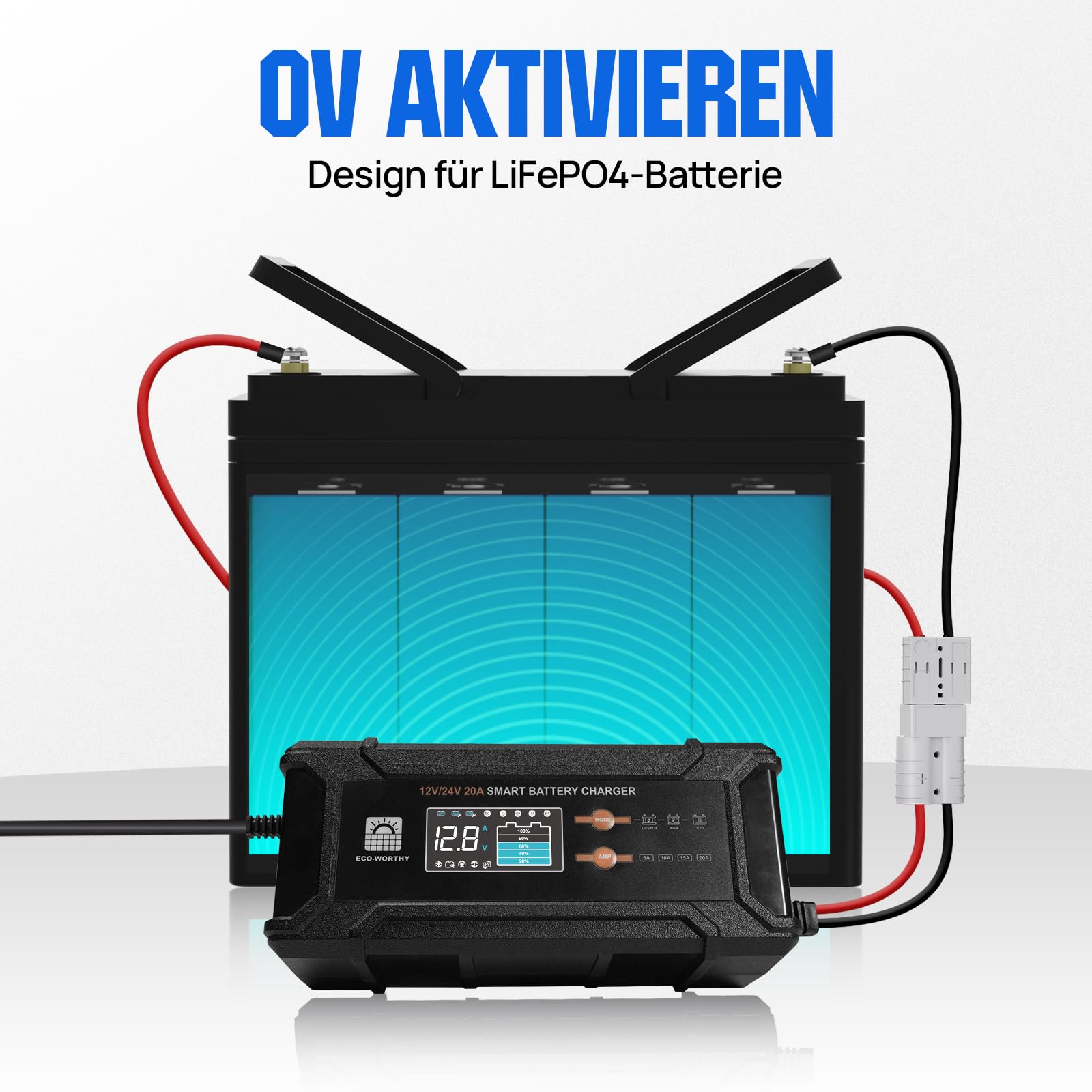 ECO-WORTHY 12V/24V 20A LiFePO4 Batterieladegerät mit Multi-Current Optionen 5A/10A/15A/20A,automatische LiFePO4 Blei-Säure Batterie Spannungserkennung für Auto LKW Motorrad Rasenmäher