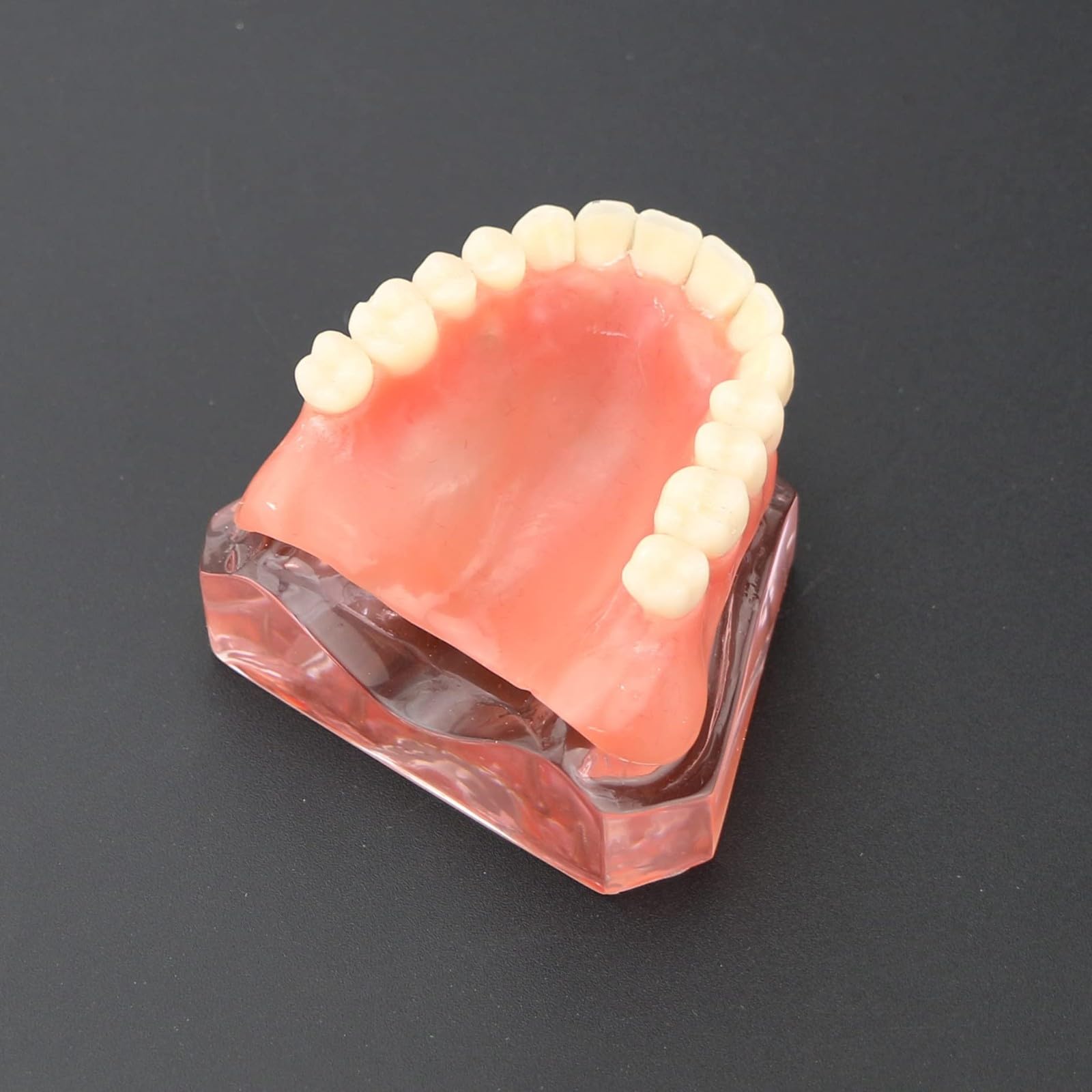 Modelo de dientes para implantes dentales tipodonto, rosa transparente, restauración de implantes dentales tipodonto, sobredentadura, 4 implantes, superior, demostración para estudio y enseñanza.
