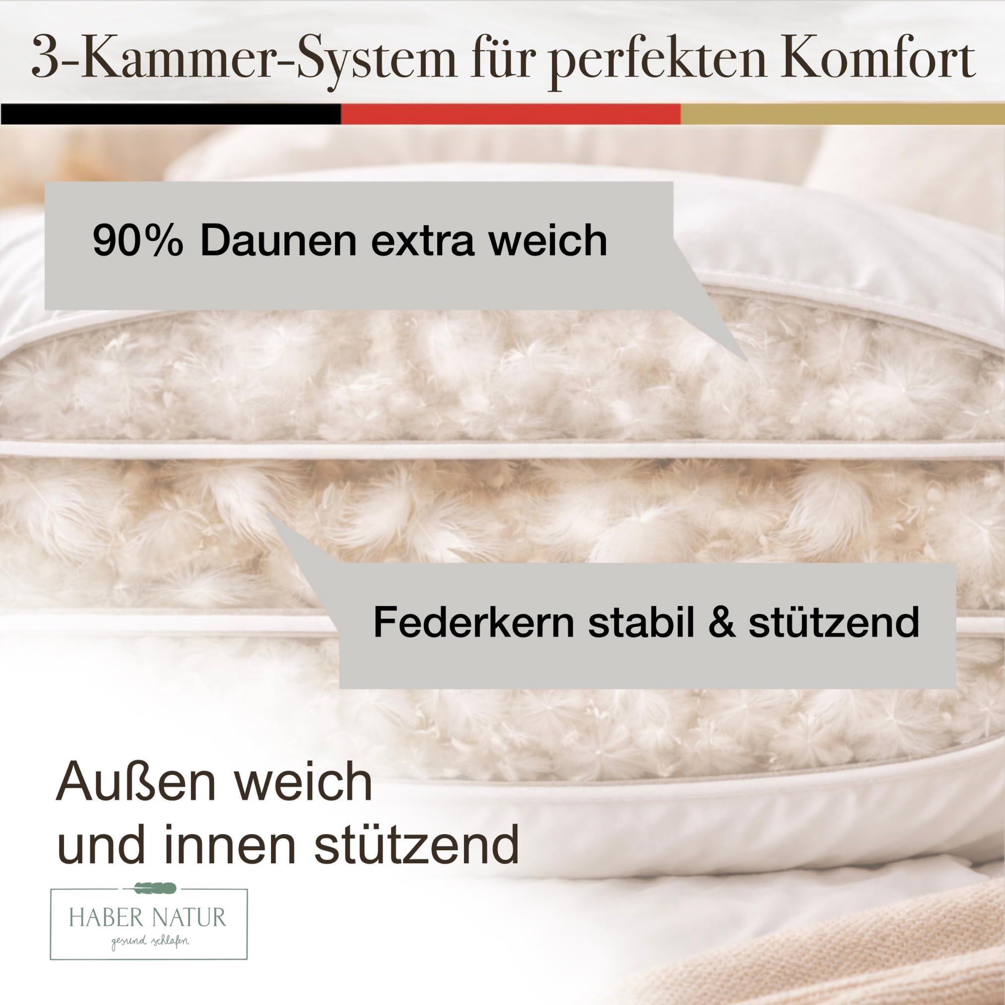 HABER NATUR 3-Kammer Daunenkissen 40x80 2 Stück-Made in Germany-Kopfkissen | 90% Daunen & 10% Federkissen | 700g Füllgewicht |Allergiker geeignet (NOMITE) | Tierwohl (DOWNPASS) | Oeko-TEX Klasse 1