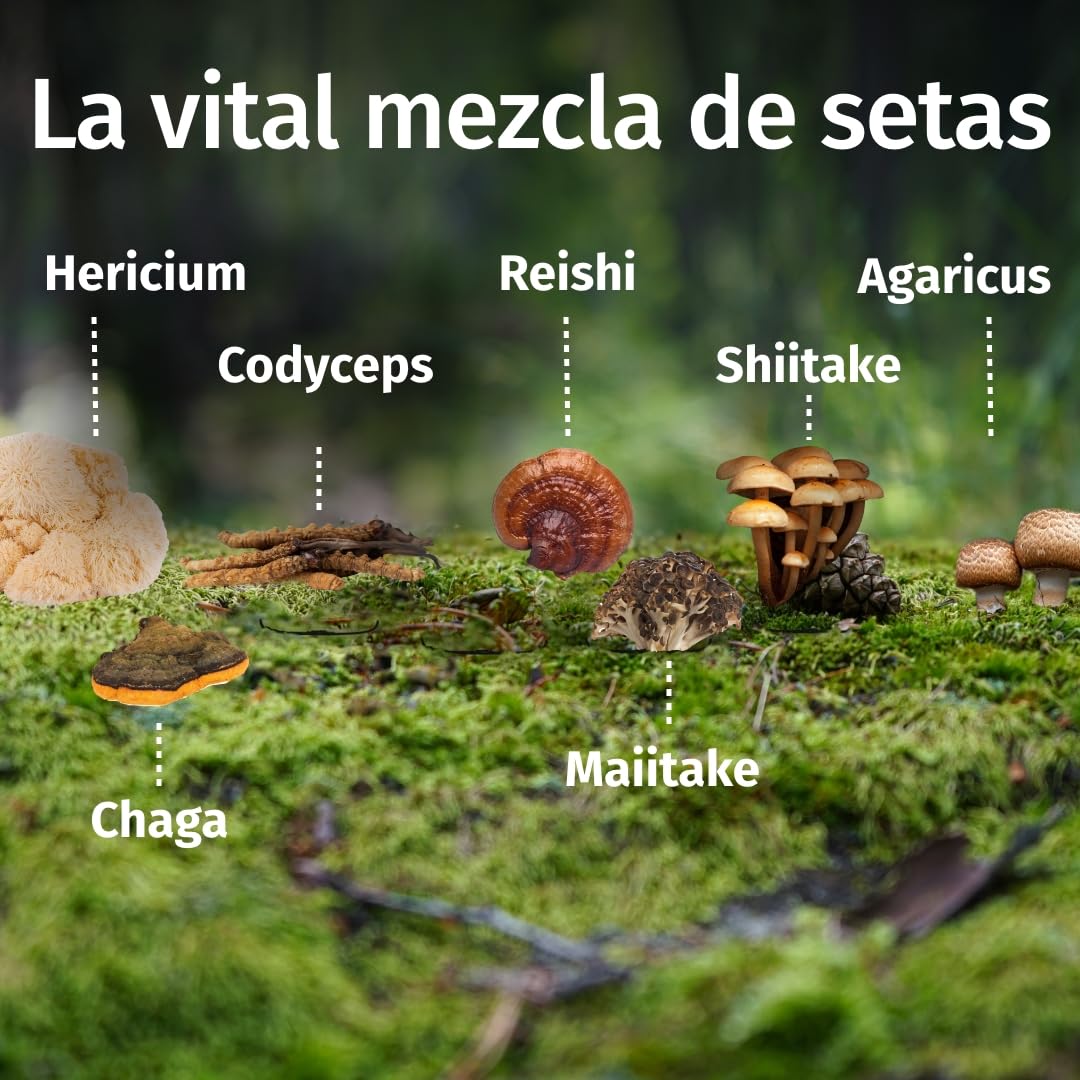Green Naturals Complejo 7 Hongos Medicinales alta dosis – 1 050 mg/dosis (150 mg de Reishi, Cordyceps, Shiitake, Maitake, Hericium, Agaricus, Chaga) – vegano, sin aditivos – 180 cápsulas
