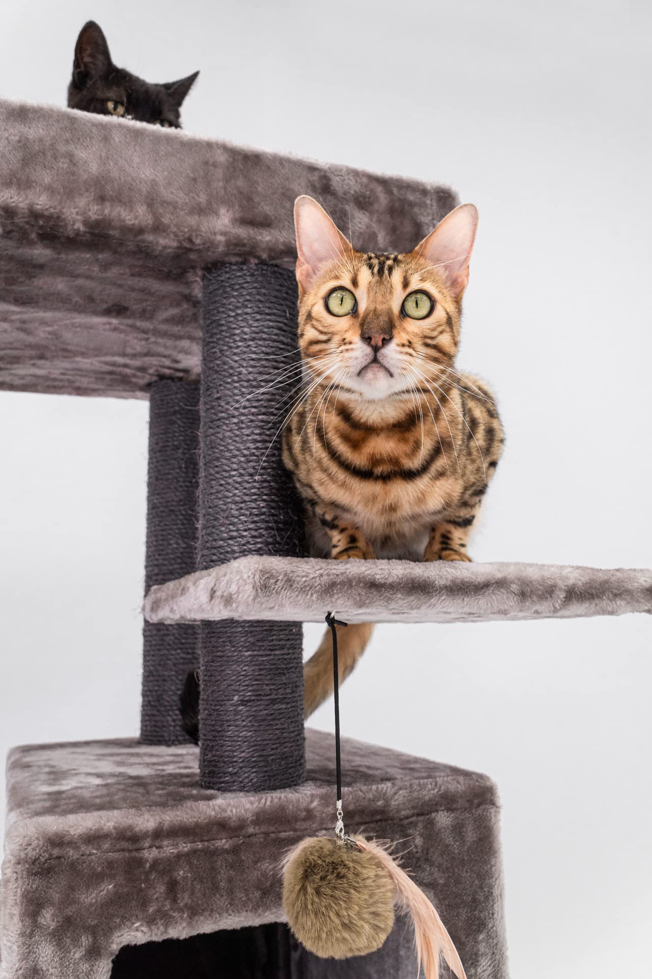 Petrebels Kratzbaum Stabil für mehrere Katzen, Cleopatra 134 cm, Cappuccino | mit dicke Bodenplatte, Ø 9 cm Stämme, waschbaren Kissen, Hängematte, Höhle & Loungesofa, auch ideal für Senioren und Kätzchen