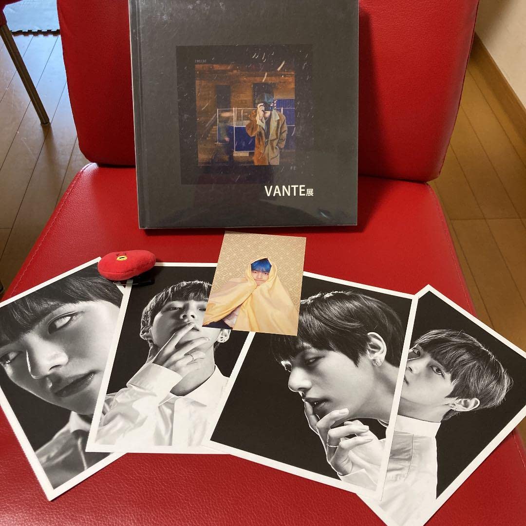 Amazon.co.jp: テヒョン VANTE展 写真集 おまけ付き : おもちゃ