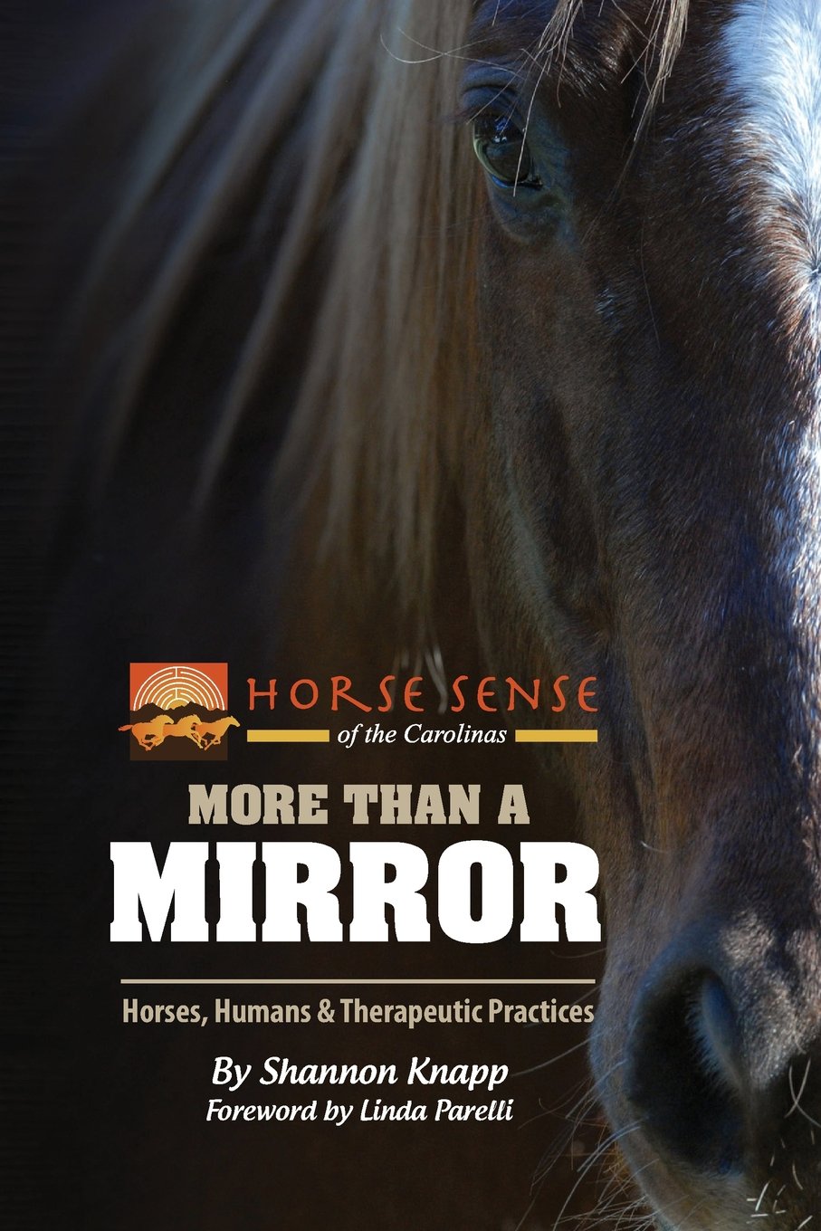 More Than a Mirror: Horses, Humans & Therapeutic Practices (Horse Sense of the Carolinas) Paperback – February 22, 2013