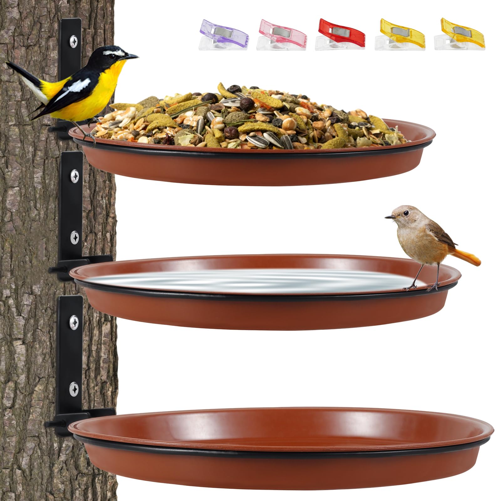 Mangeoire à oiseaux stable contre le vent : fixez vos plateaux pliables sur vos murs et arbres