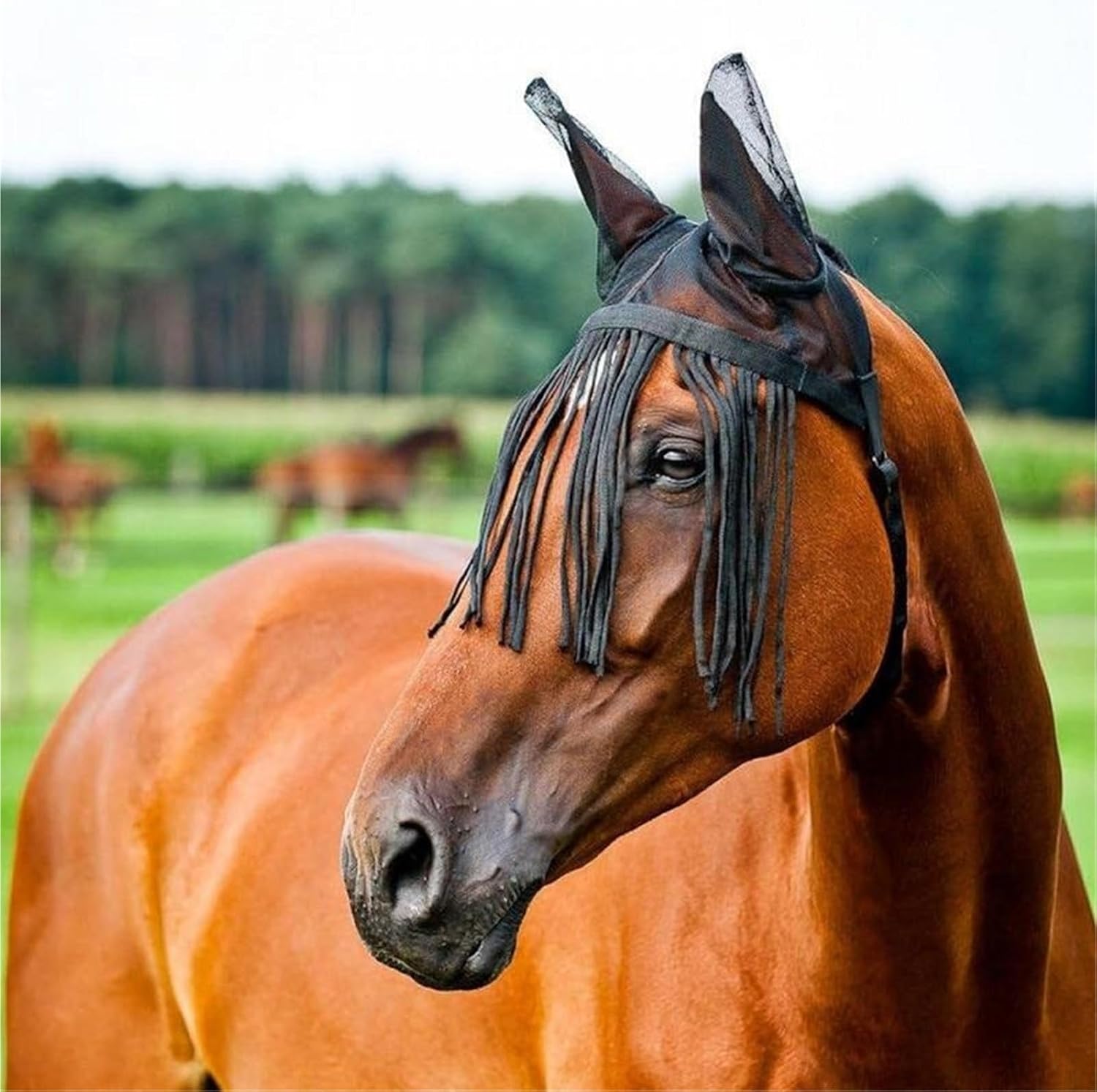 Hat with Tassels Prevent Fly Tassel Adjustable Mask Comfortable Mesh for Horse(47x67cm)