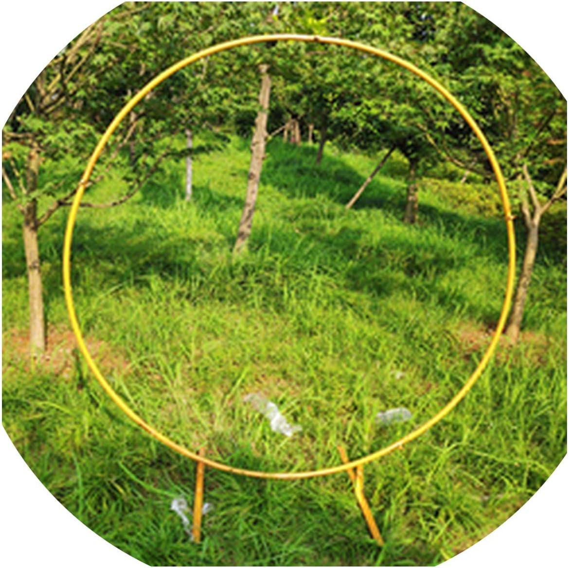 Circle Wedding Props Birthday Decor Wrought Iron Round