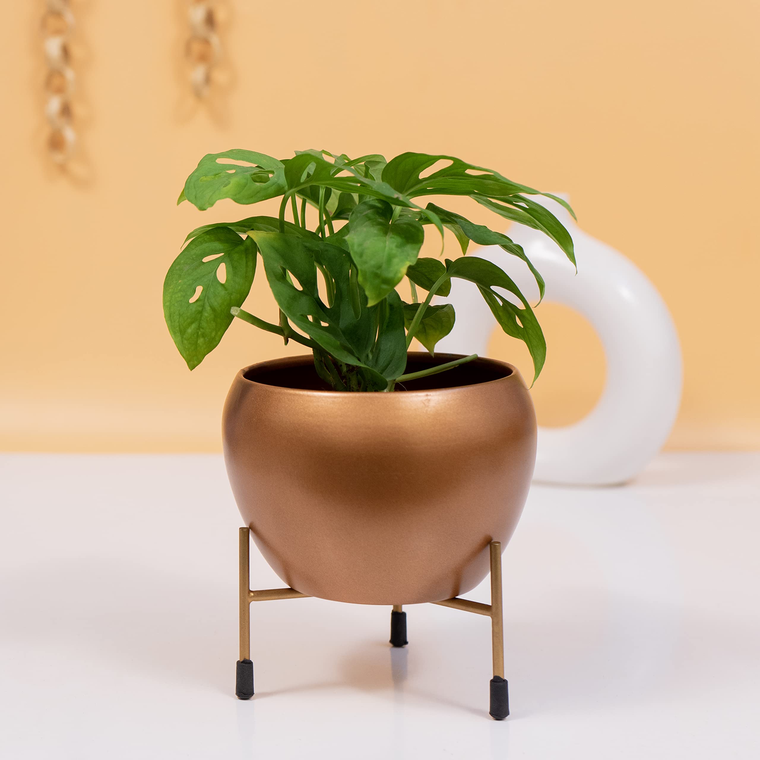 See full amazon price history chart for KYARI Joyeria Metal Pots for Indoor Plants with Drainage Hole & Stand (Best Flower Pots & Planters for Home Decor, Living Room, Kitchen, Bedroom, Table Top, Office, Gifting, Copper Finish, Pack of 1) KYARI Joyeria Metal Pots for Indoor Plants with Drainage Hole & Stand (Best Flower Pots & Planters for Home Decor, Living Room, Kitchen, Bedroom, Table Top, Office, Gifting, Copper Finish, Pack of 1) (B09SLX4RK5) Amazon Price History, Amazon Price Tracker
