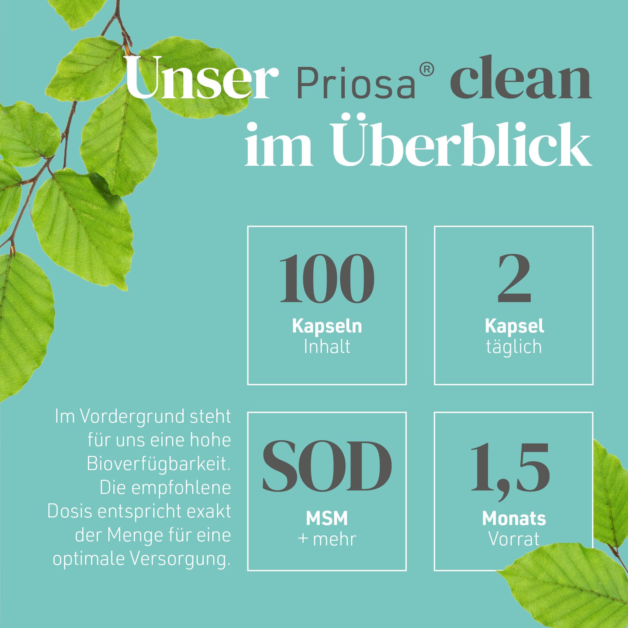 Priosa® CLEAN – Aminosäuren- & Schwefel-Komplex mit Vitamin B12, 100 Kapseln I Vitalstoff-Mix & Schwefel-Lieferant I Mit L-Methionin, L-Cystein, MSM, & B-Vitamine I Vegan