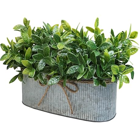 Faux Eucalyptus Plants