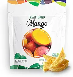 Manga Liofilizada Tropickout - Fruta Snack Saudável Sem Glúten Sem Lactose 48g.