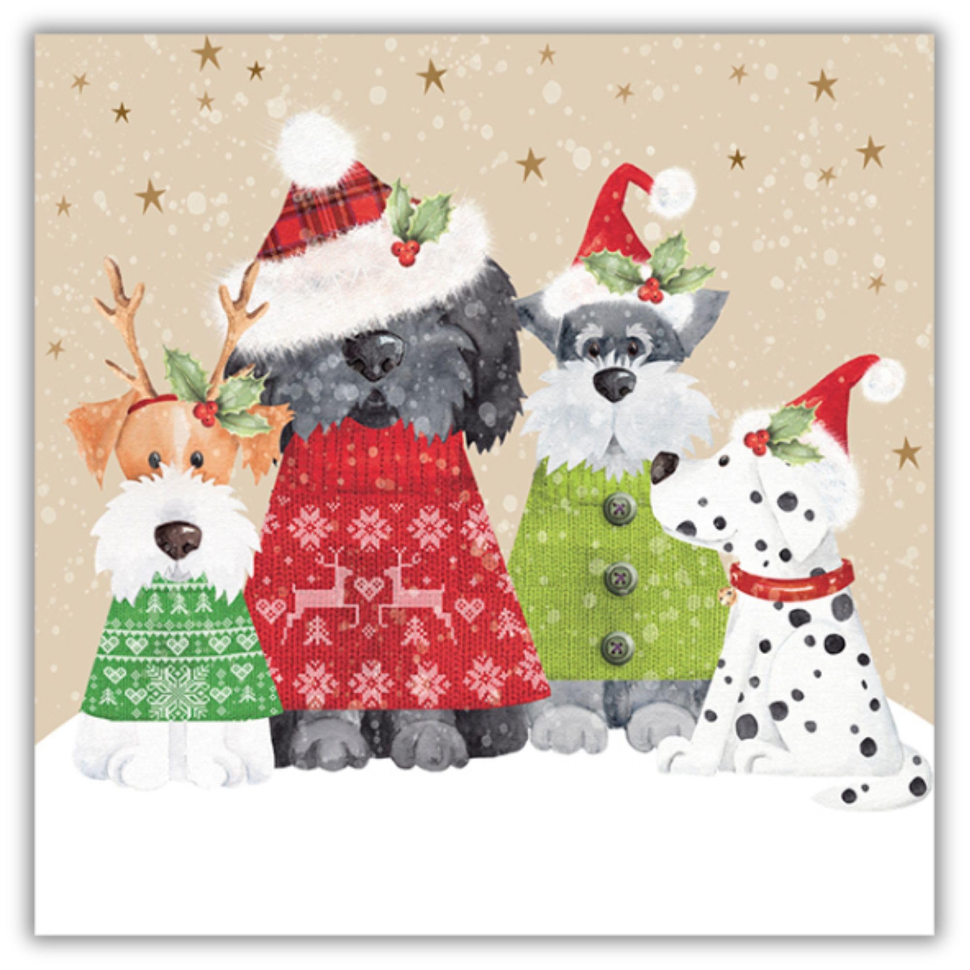 Noel Tatt Charity Christmas Cards Pack of 10 - Cute Dogs in the Snow - Premium Festive Greeting Cards Multipack with Envelopes - Supporting UK Charities