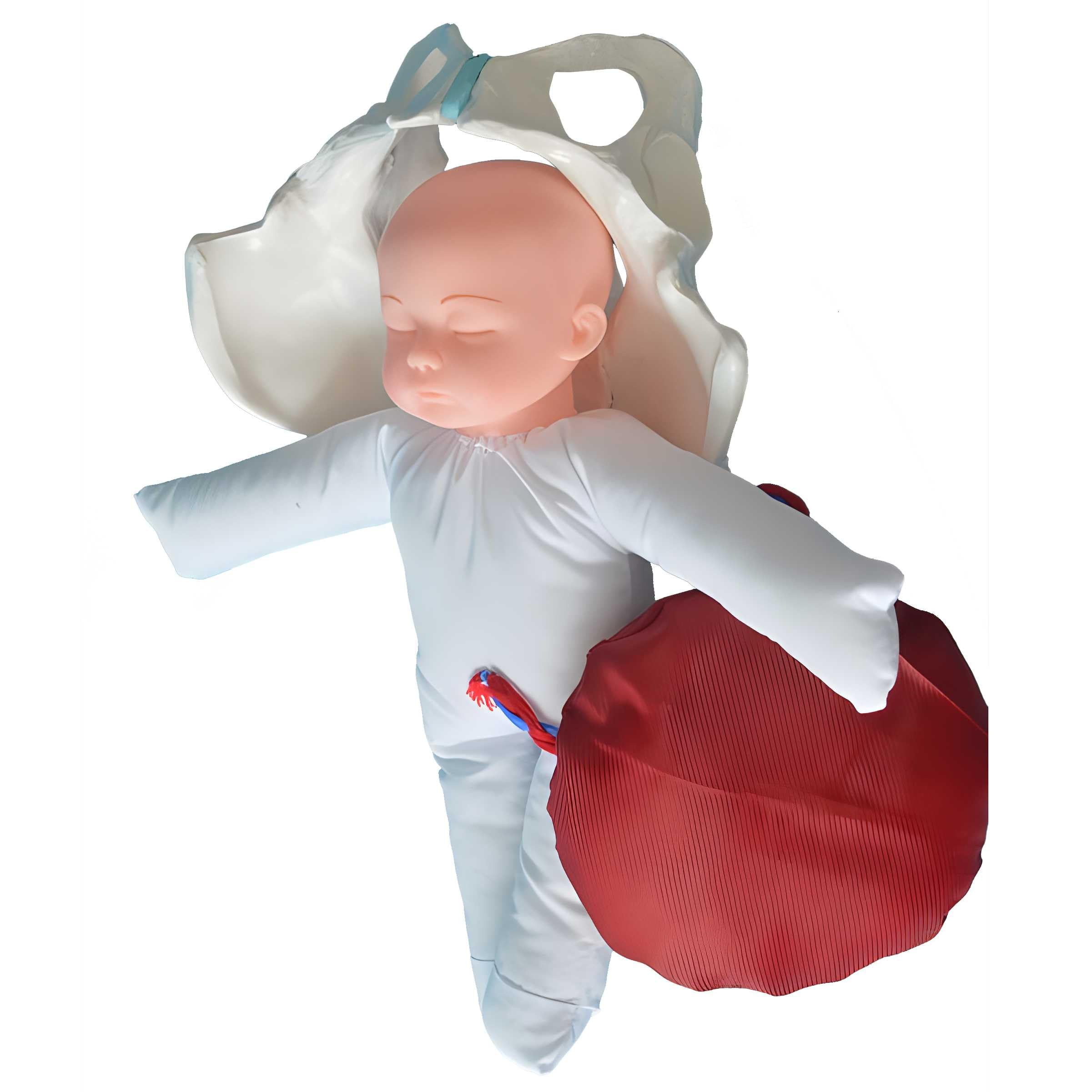 AMITD Modello di nascita per ostetriche con fondo pelvico e neonato per simulazione realistica
