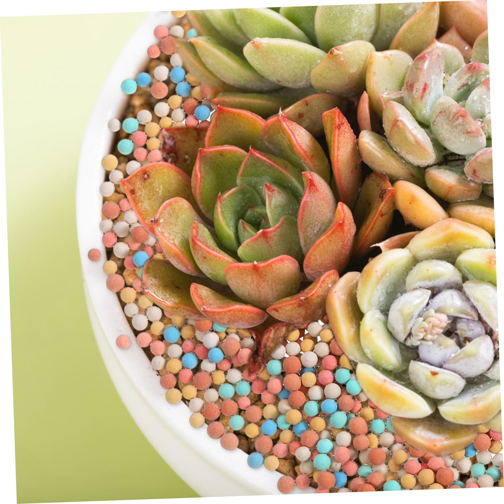 Granulés de Céramsite pour Pots de Fleurs, 2 Paquet 500 G