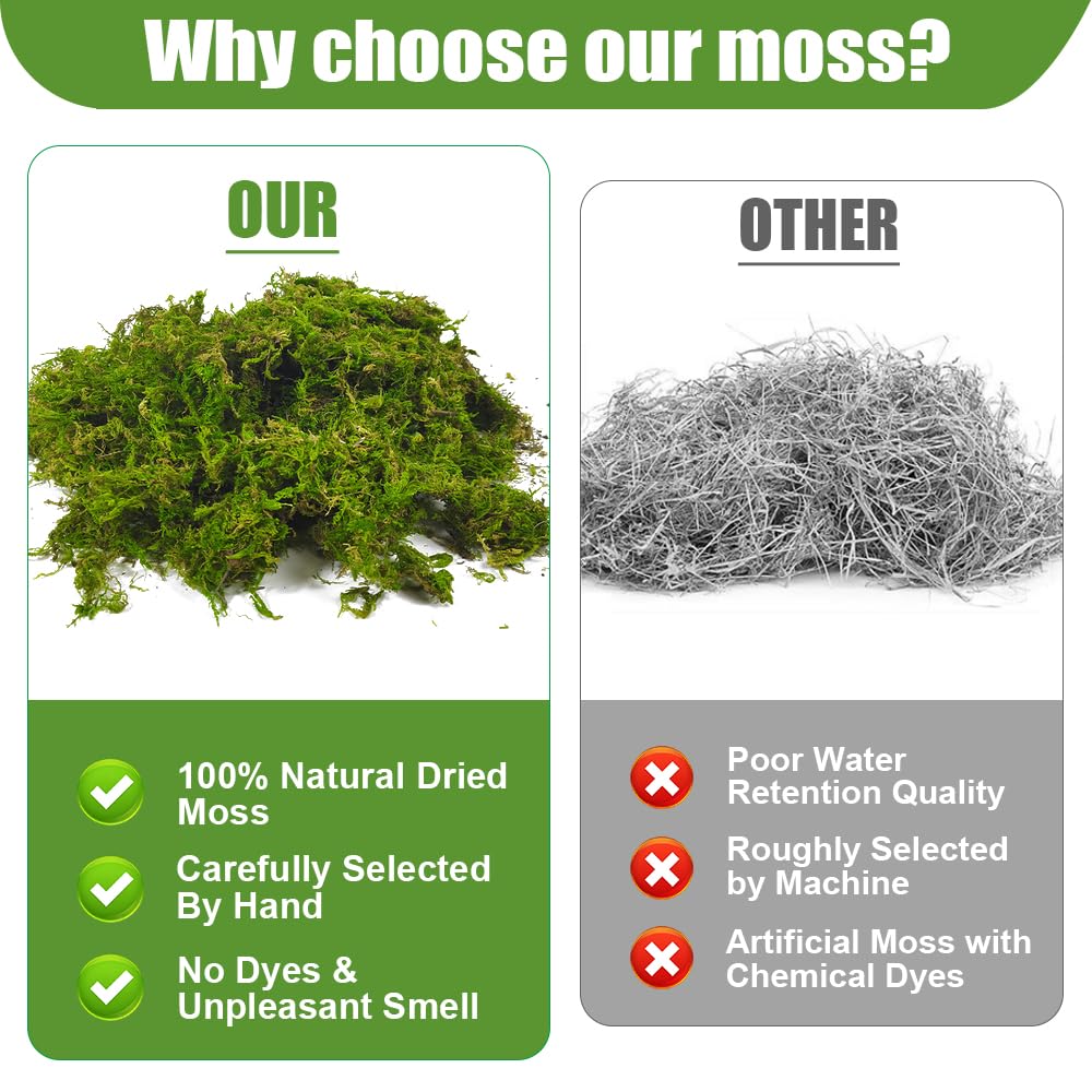 500 g Musgo Sphagnum, XPJBKC Musgo para Orquideas, Musgo Natural para Plantas, Sustrato Orquideas Sustrato Bonsai para Orquídeas, Plantas, Decoración de Musgo, Enraizamiento de Esquejes