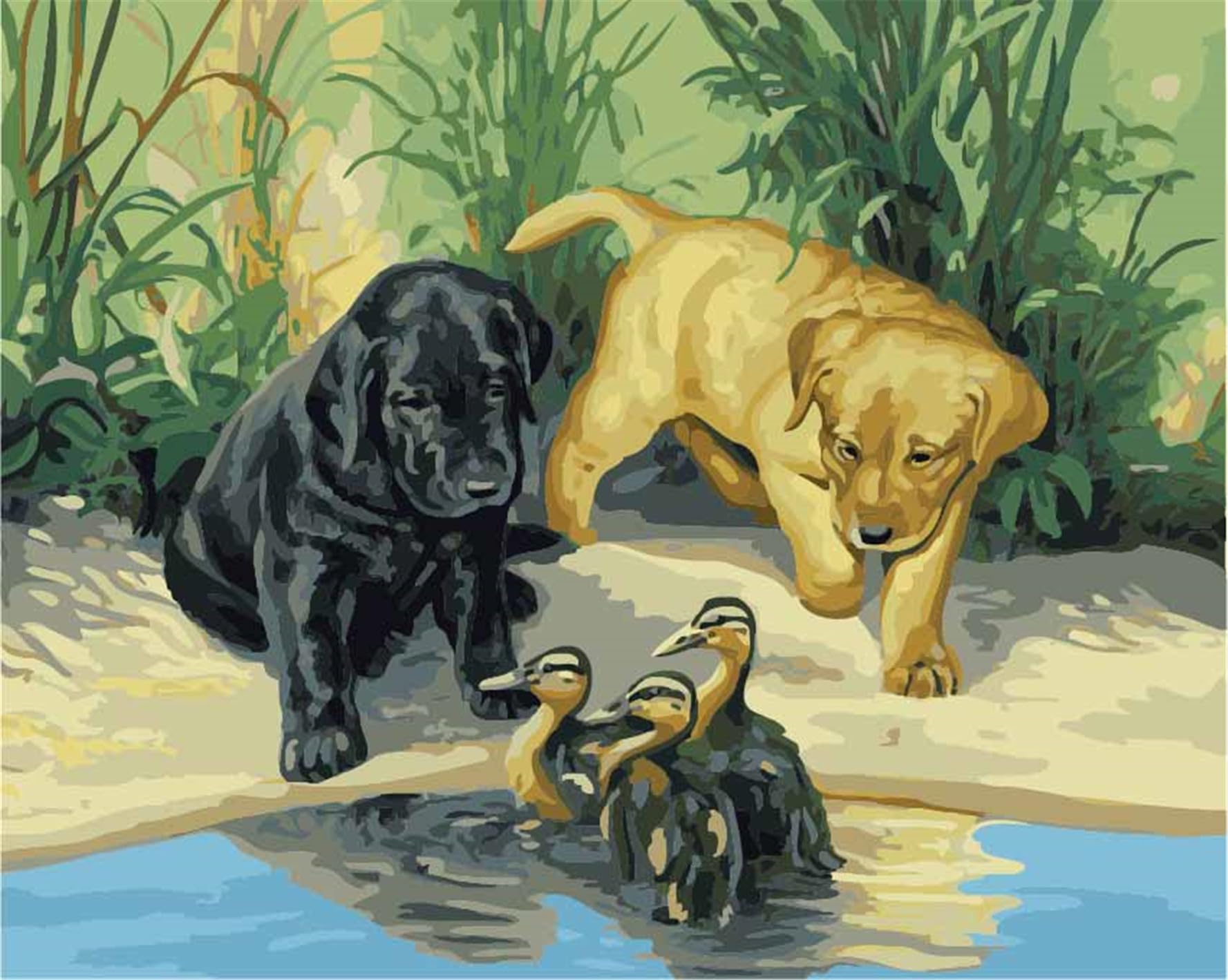 CaptainCrafts Paint by Number DIY Oil Painting Paint by Numbers Kits for Adults Beginner Canvas Acrylic Arts Craft for Home Wall Decor Drawing 16x20 Inch (with Frame, Dogs and Ducks) — image 1