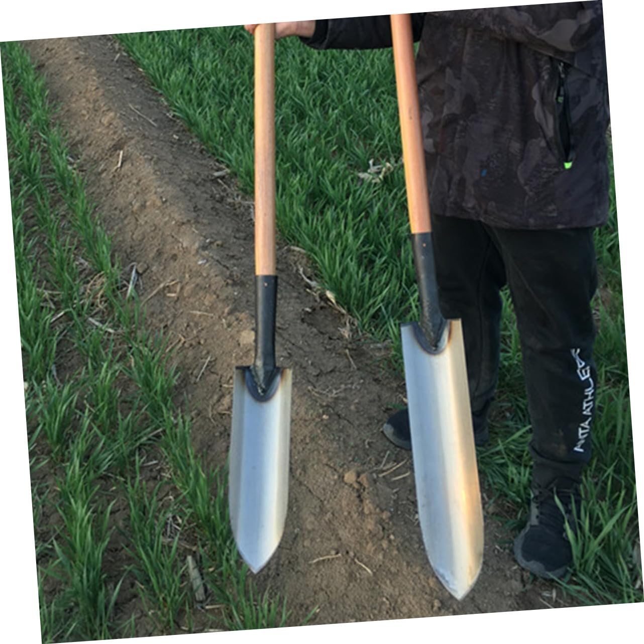 Robuster Pflanzspaten aus Stahl, Spitze Form, Silber