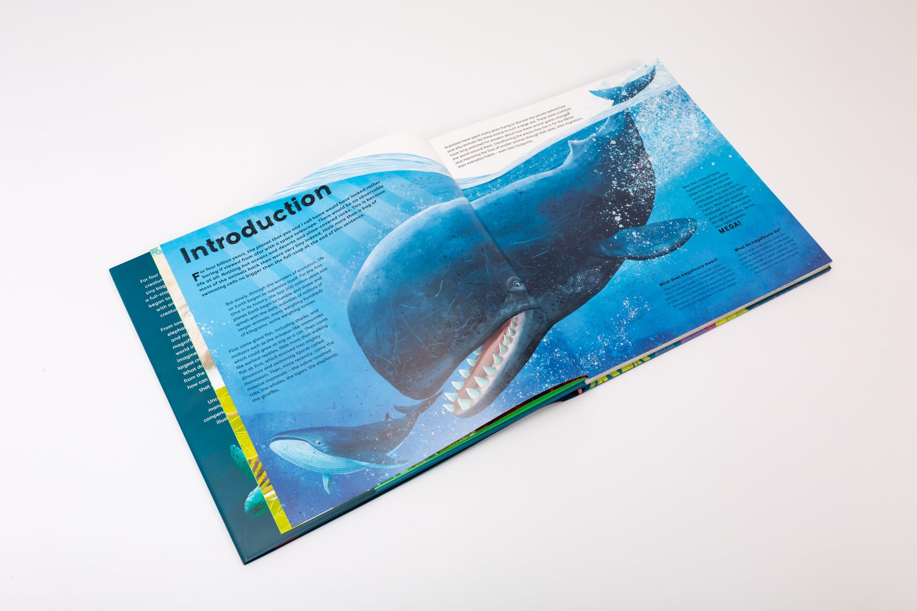 MEGA: The Most Enormous Animals Ever