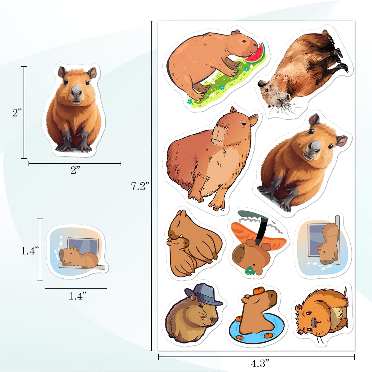 50 Pieces Capybara Stickers - Vinyl Waterproof Decals For Laptop, Water Bottle & More