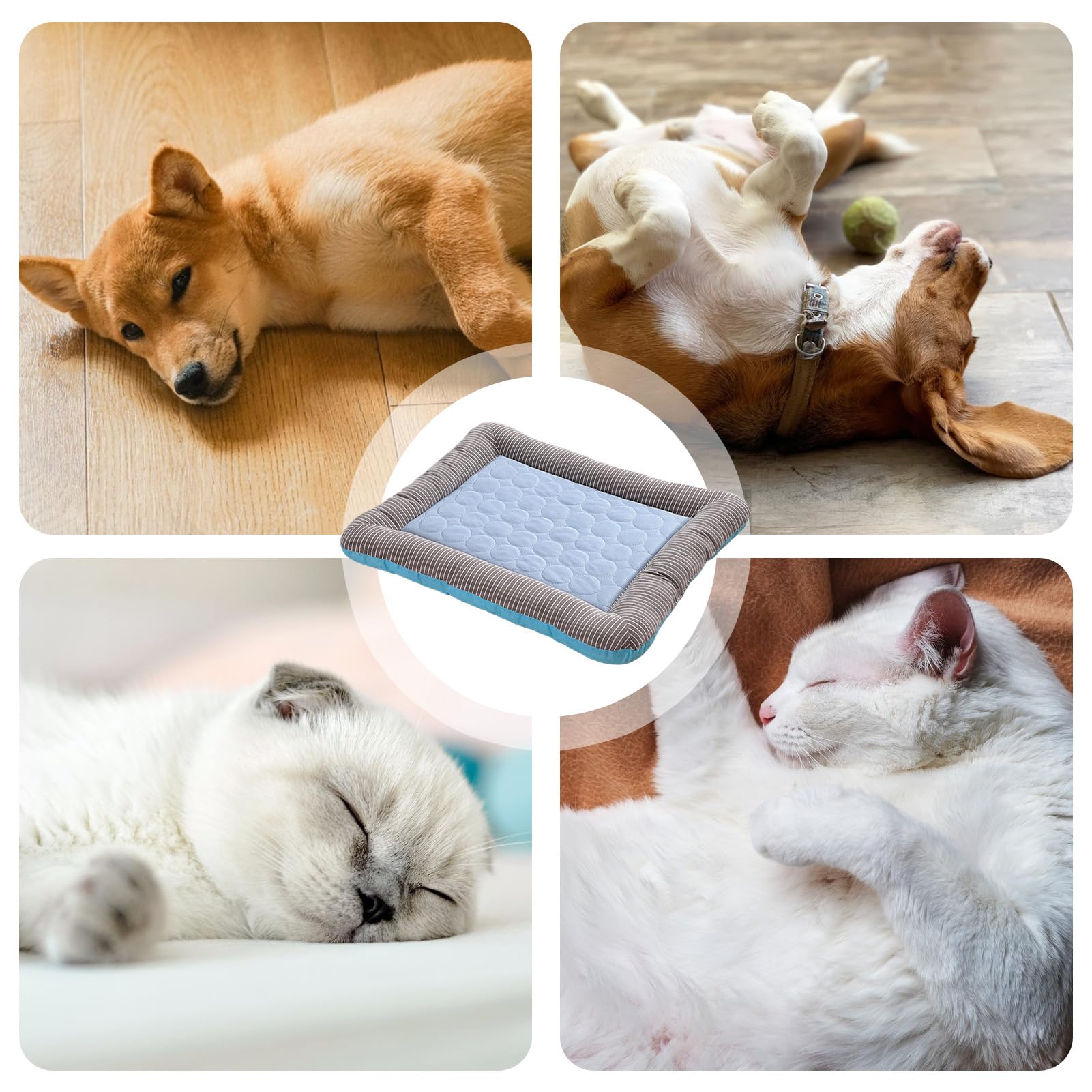Lit Rafraîchissant pour Chats - Tapis Frais pour Animaux,Coussin Résistant pour Cages Rafraîchissant Chiens Moyens Chiots Lapins Petits Animaux