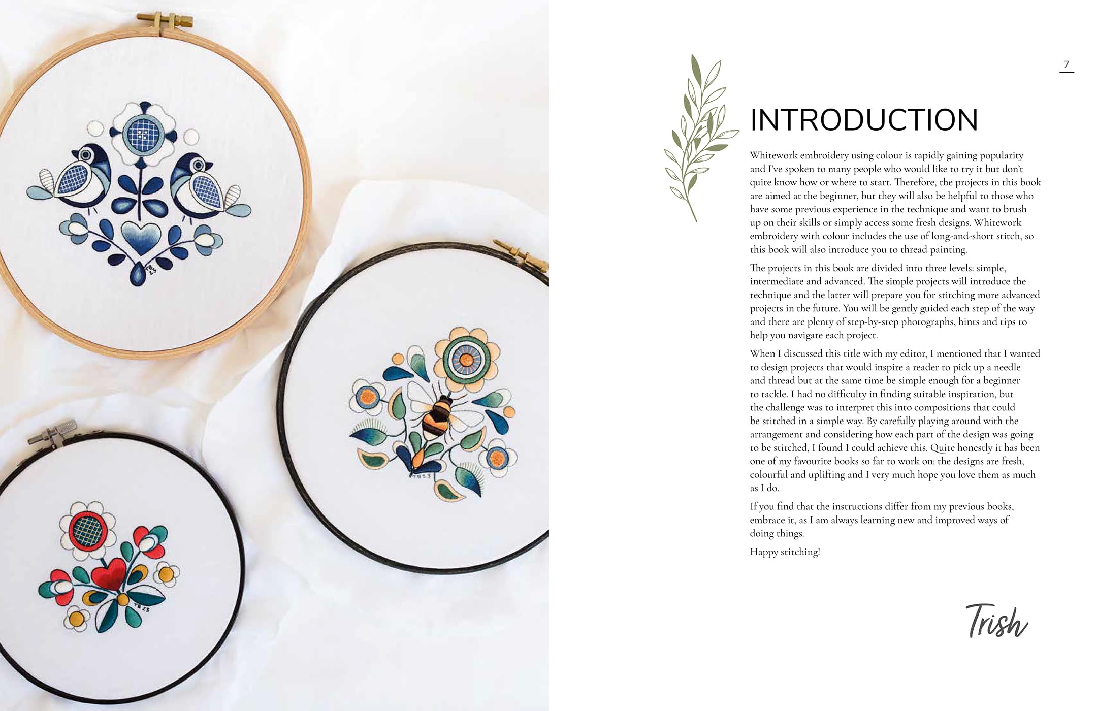 An Introduction to Whitework Embroidery with Colour: 10 Stunning Projects with Reusable Iron-On Transfers