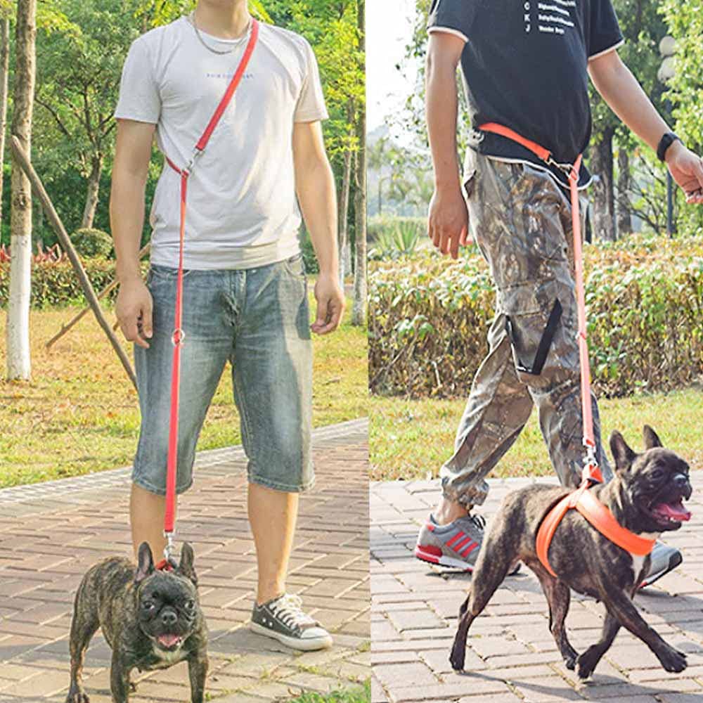 Trainingsriem voor honden - Dierenriemen kopen? | Korting tot 56