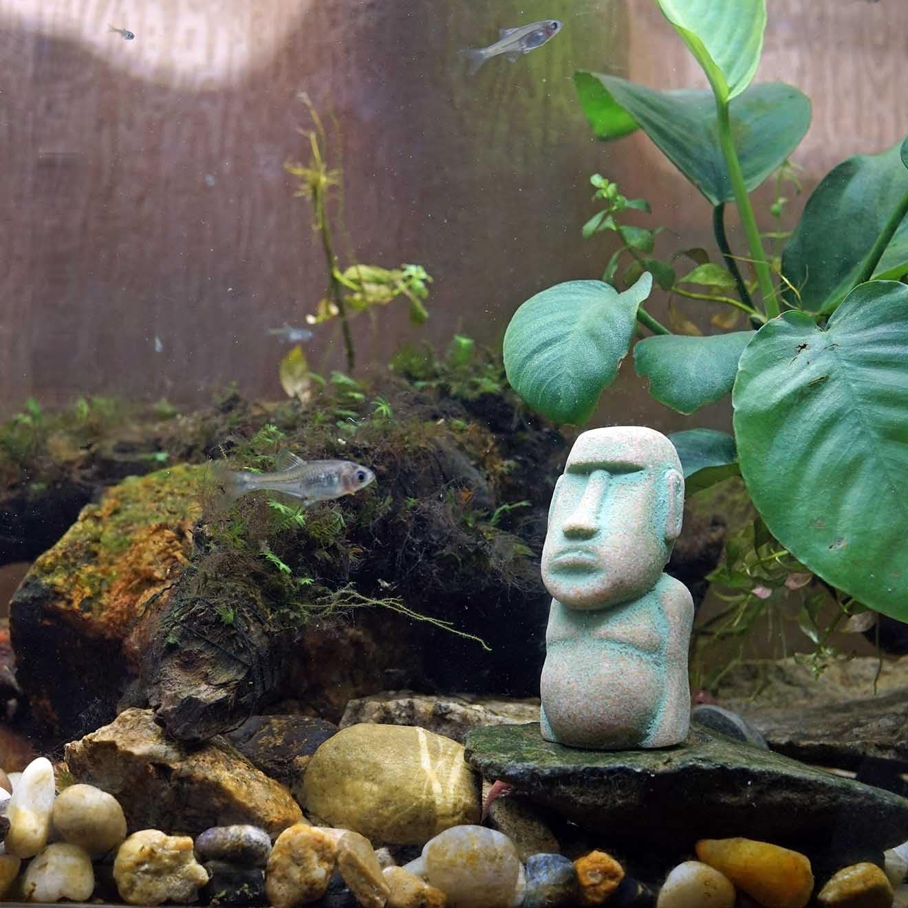 Moai Figuren 3er-Set, Sandstein-Harz Steinoptik – Aquarium & Tischdeko, Groß Mittel Klein (1x Steingrau + 1x Moosgrün)