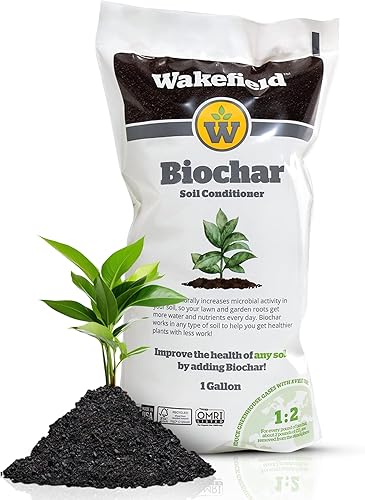 Wakefield BioChar  Acondicionador de suelo prémium carbón activado para plantas carbón hortícola  Bio carruaje orgánico para jardines elevados y