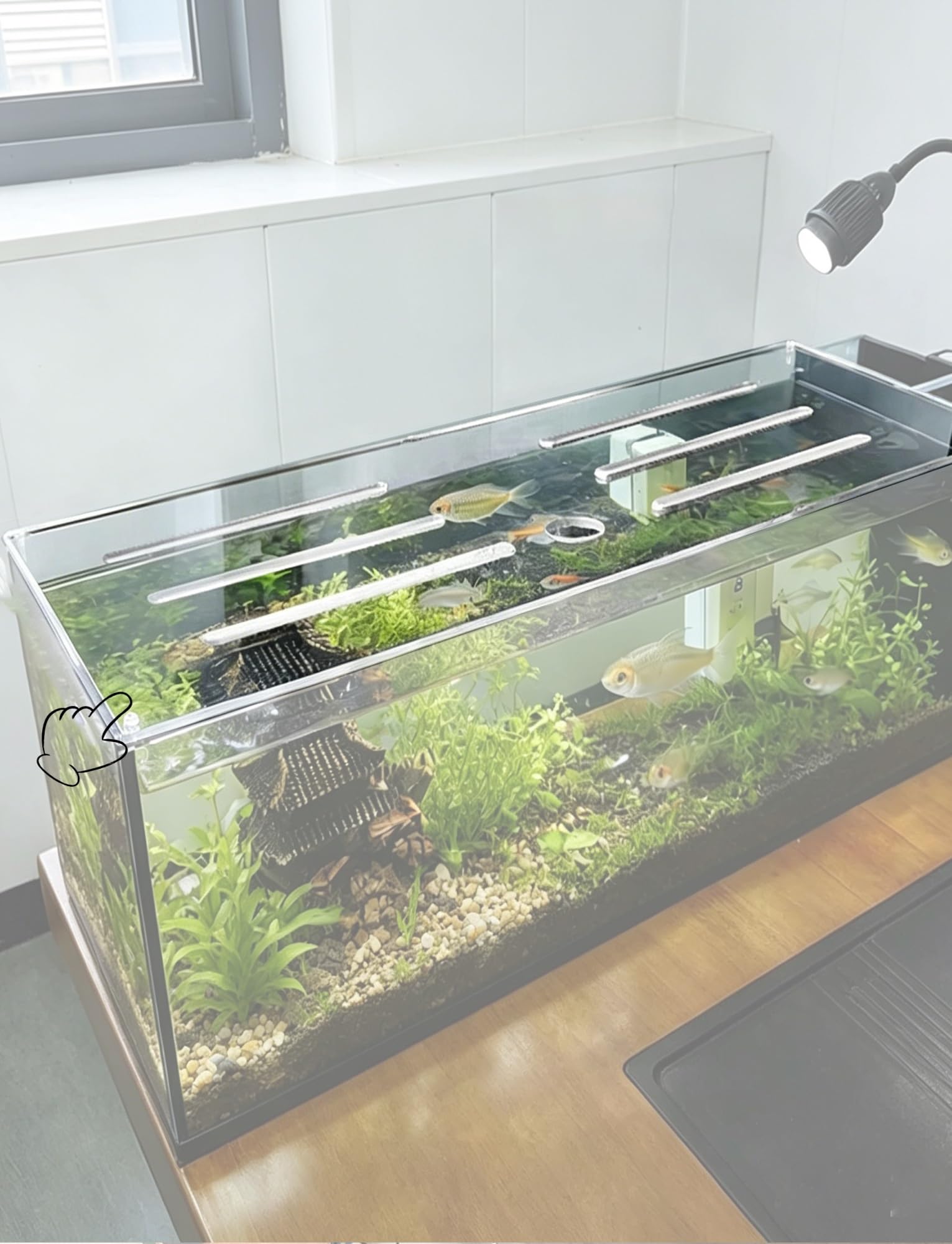 Pannello di Copertura for Acquario in Acrilico