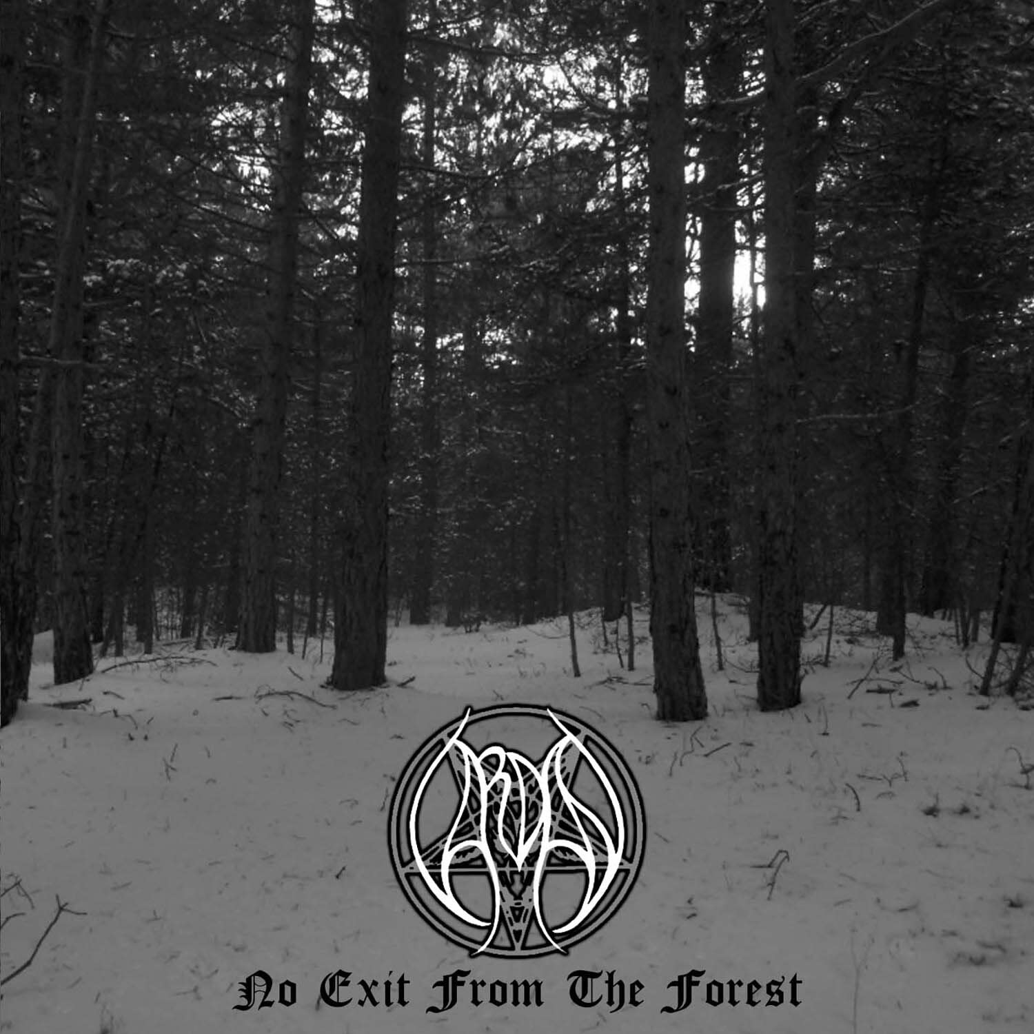 Vardan No Exit From The Forest CD New 768586028527