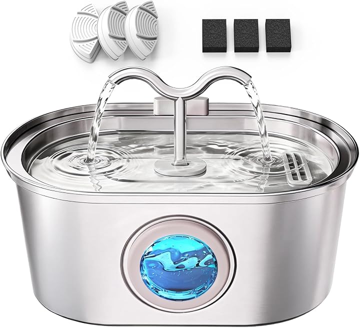 Transparent editorial object representing Lifestyle