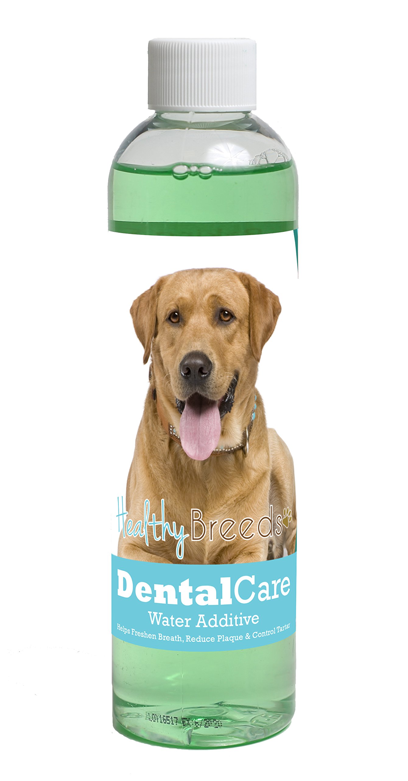 Healthy Breeds Dog Dental Care Water Additive for Labrador Retriever - Helps Freshen Breath, Reduce Plaque &amp; Control Tartar - Mint Flavor - 8 oz